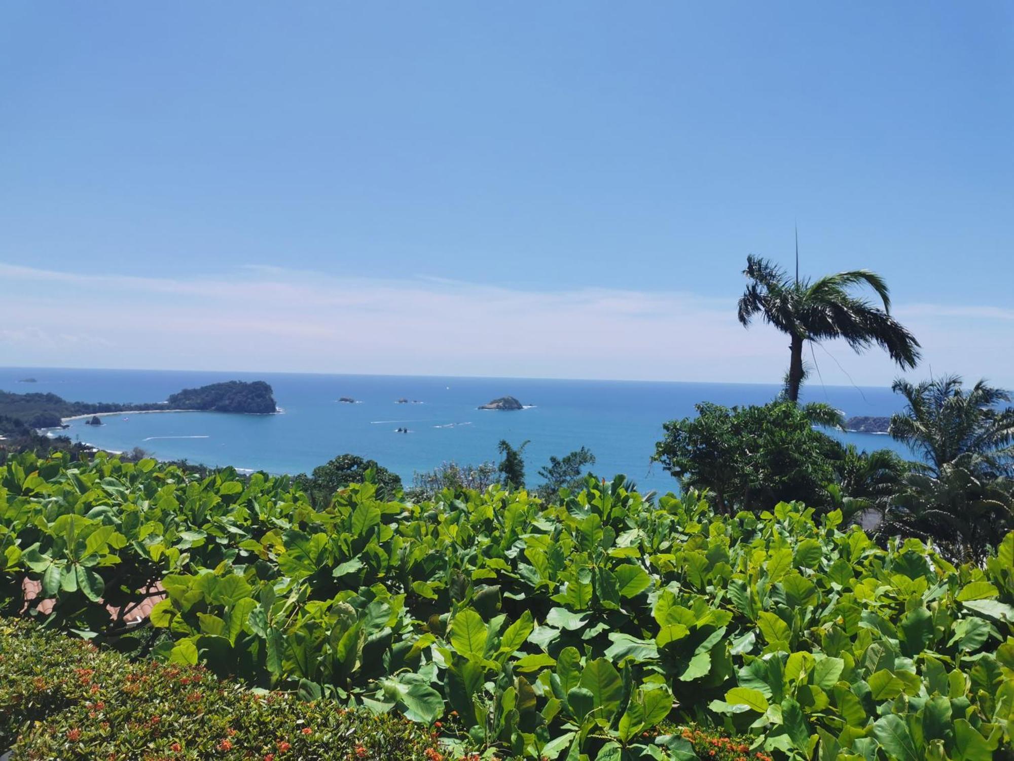 Hotel La Mariposa Manuel Antonio Luaran gambar